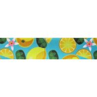 Lint met print 22mm - Citroen