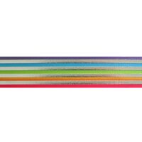 Strepenlint 25mm - Regenboog Zilver