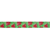 Lint met print 10mm - Meloen Groen Roze
