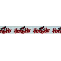 Kerstlint 10mm - Hohoho Zigzag Licht Blauw Wit